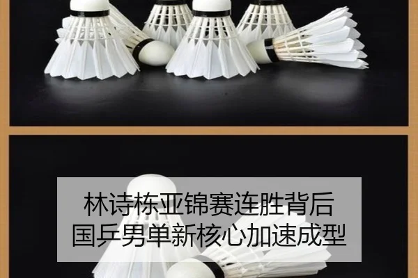 林诗栋亚锦赛连胜背后 国乒男单新核心加速成型 | huobosports